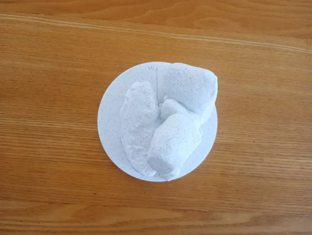 3Dモデルの写真